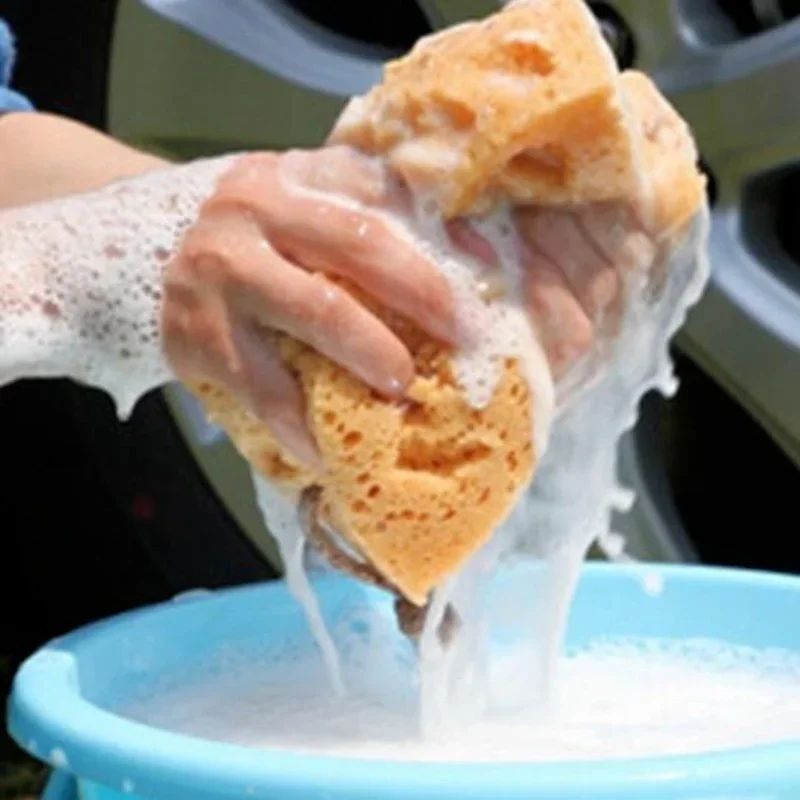 Car Washing Sponge Large Honey - đánh giá và giá Car Detailing Brush